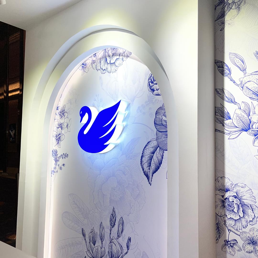 White Swan - Image 5